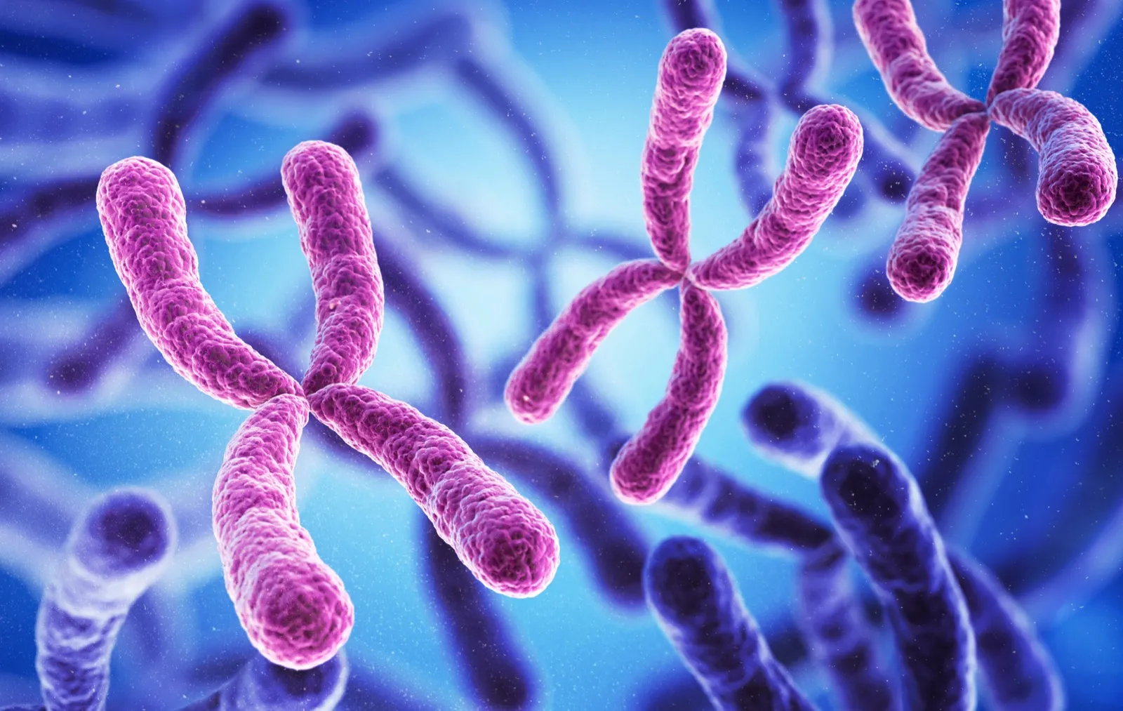 Your Chromosomal Painting