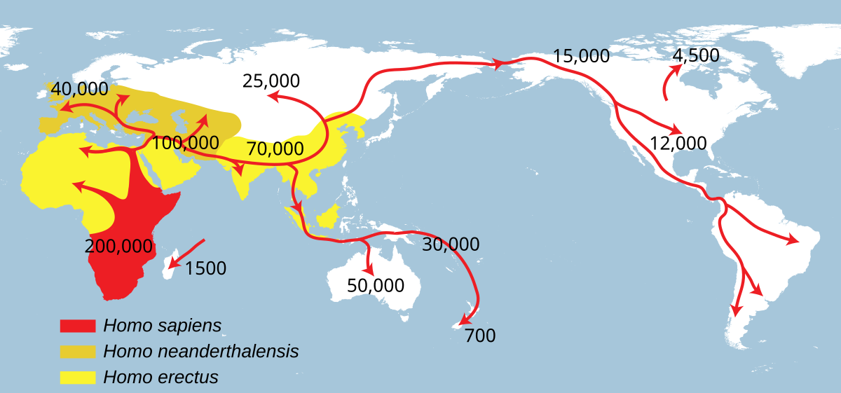 Your Haplogroups & Migration