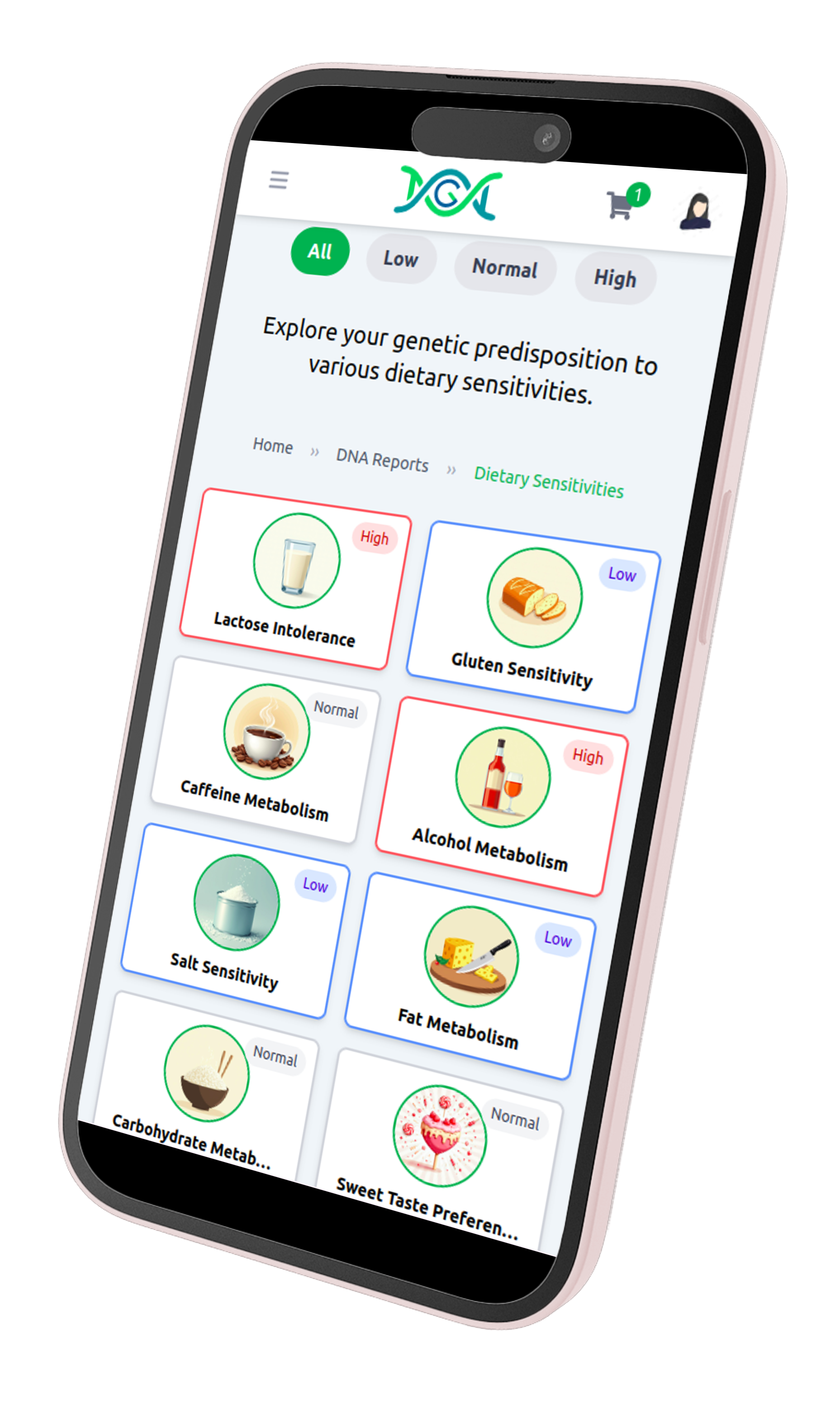 Mobile Diet Report Preview
