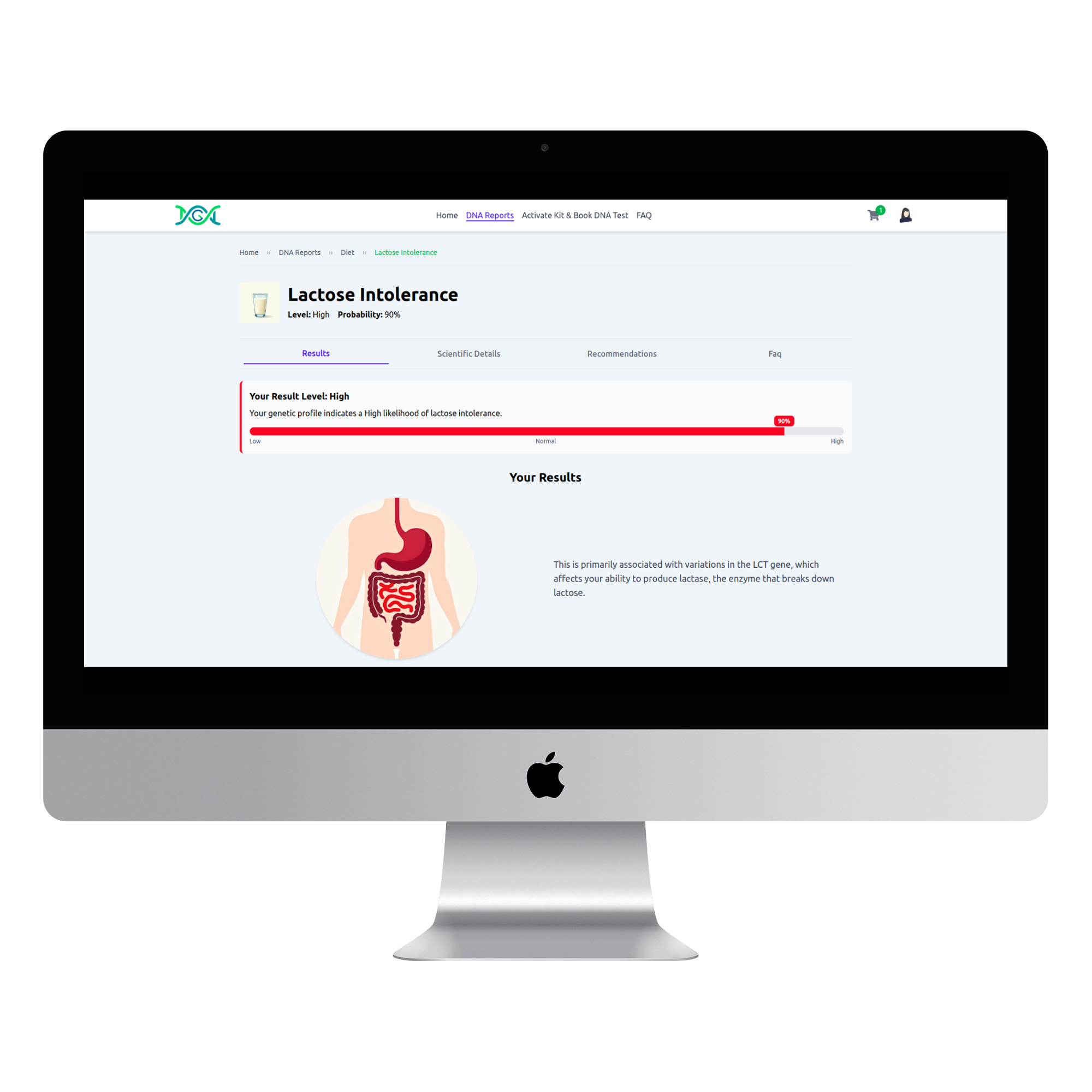 Desktop Diet Report Preview
