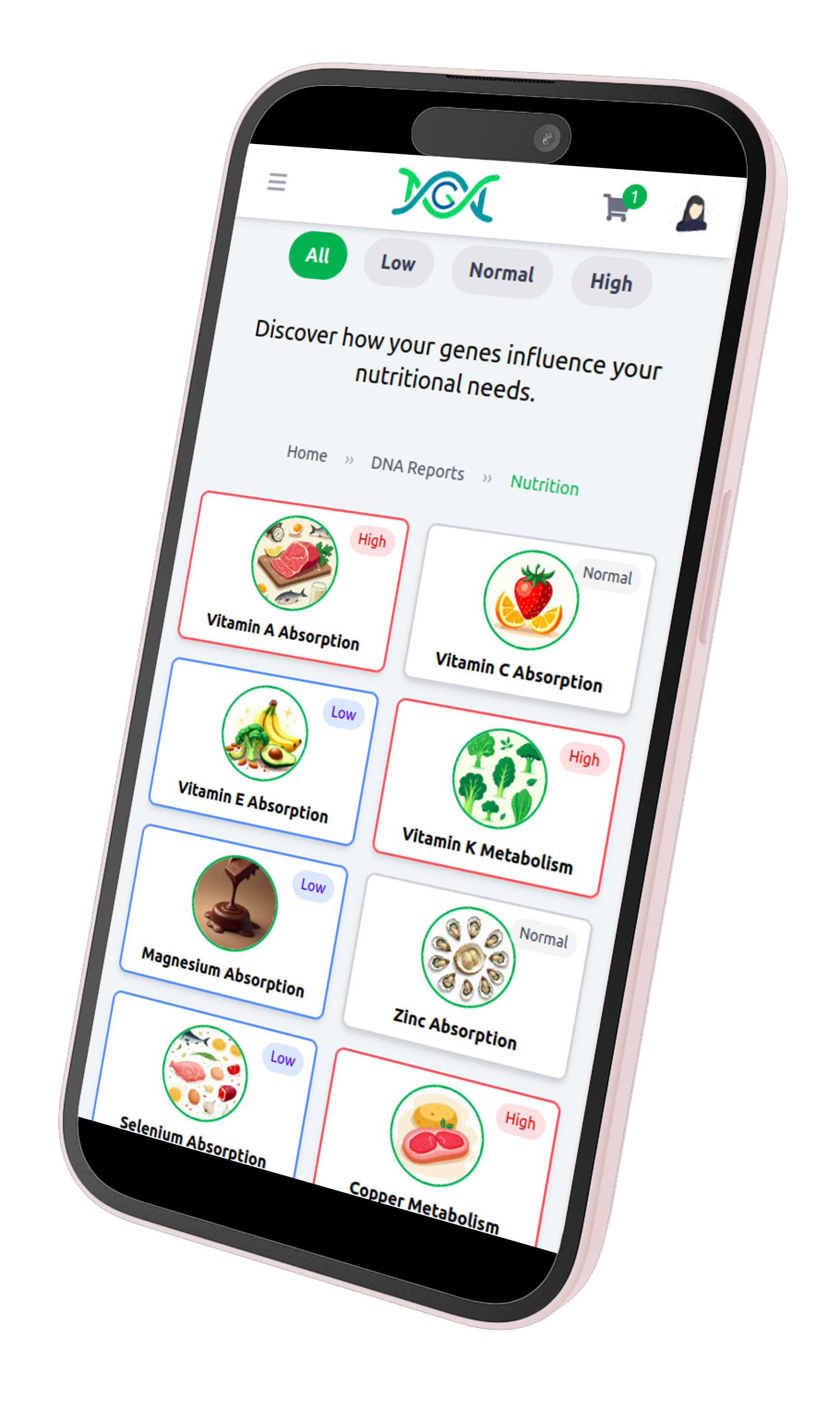 Mobile Nutrition Report Preview