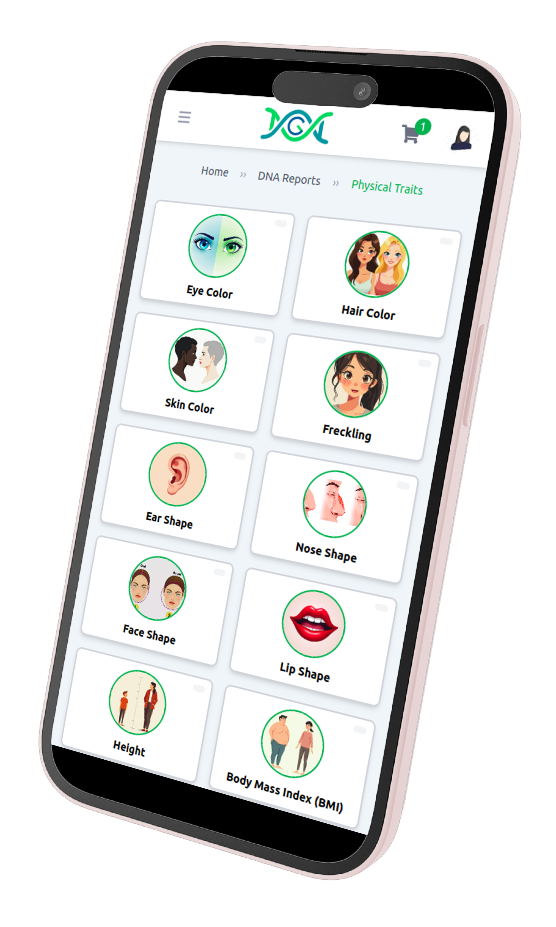 Physical Traits Preview