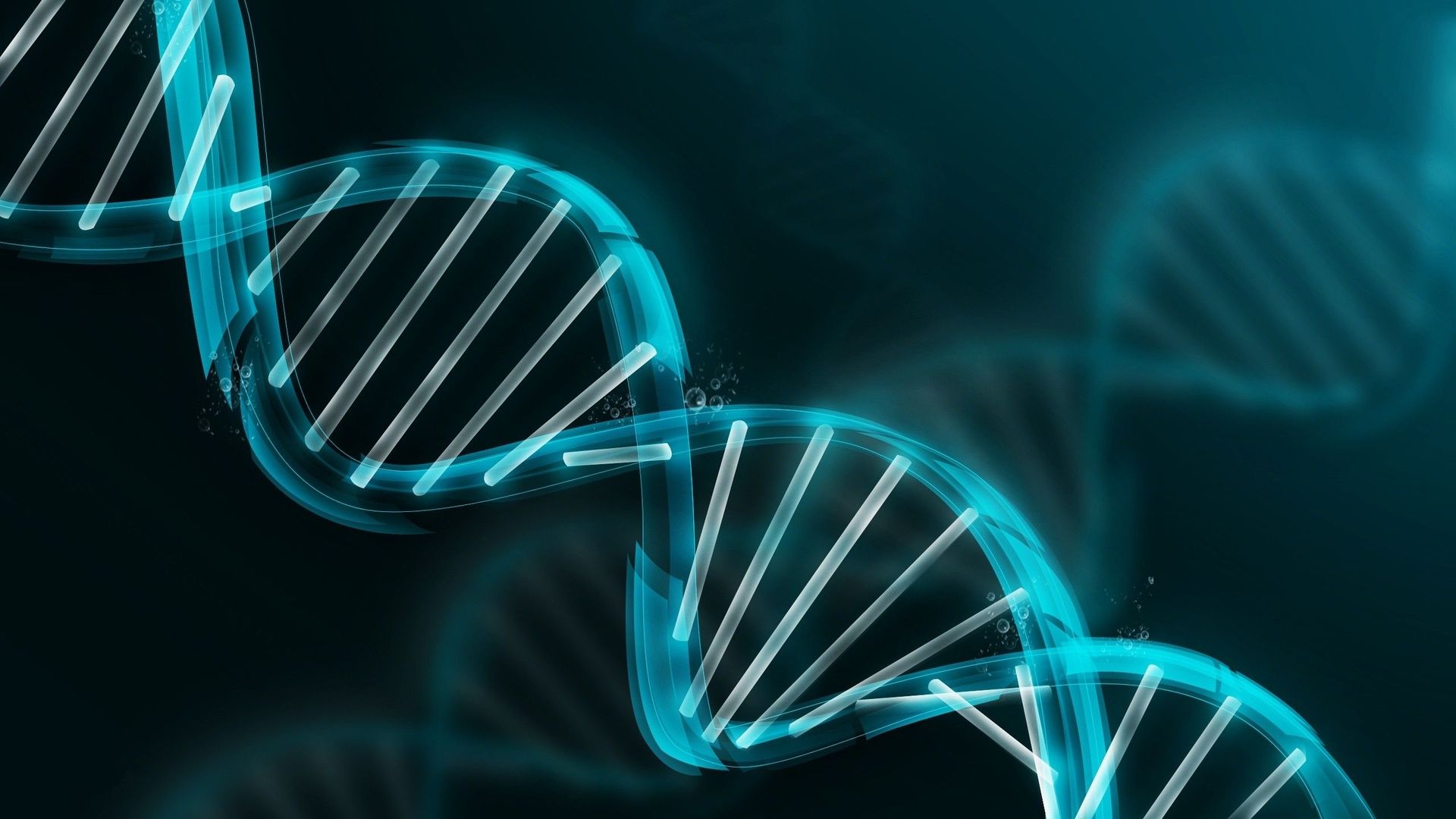 GenoConnect DNA Testing Laboratory
